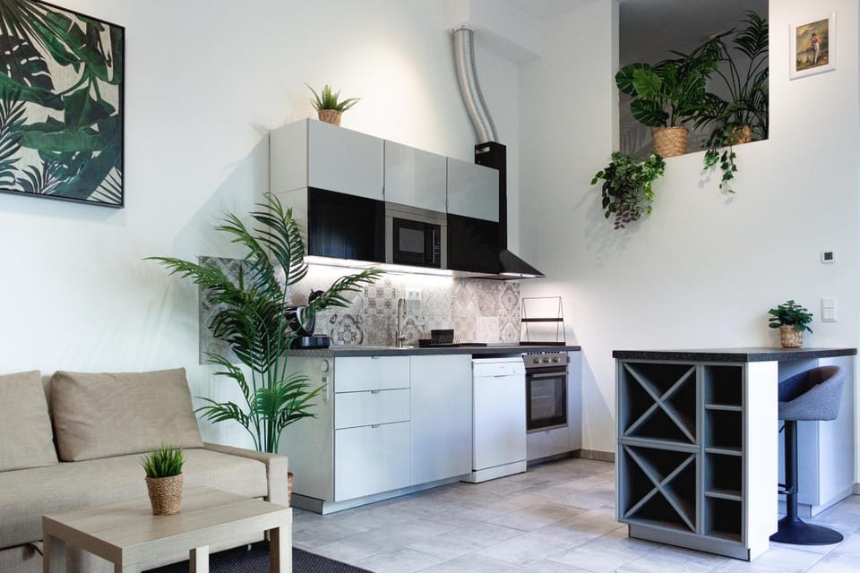 TV and multimedia, Kitchen or kitchenette, Living room, Seating area, minibar, pet friendly, stove