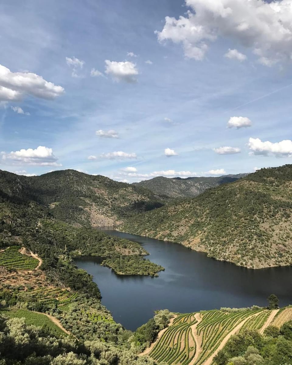 Quinta Vila Rachel - Winery Bed and Breakfast in Vila Real District