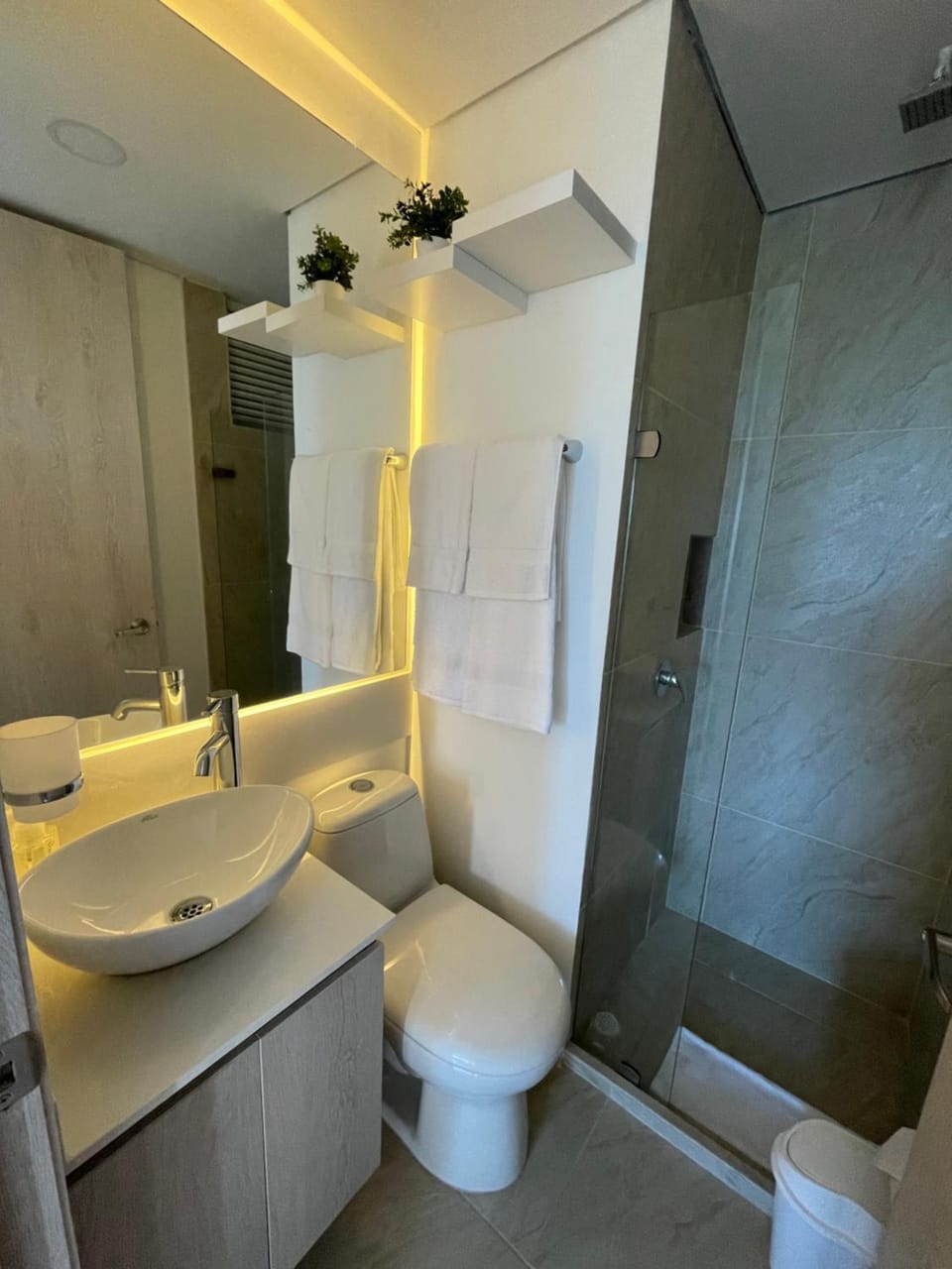 Shower, Toilet, Bathroom, towels