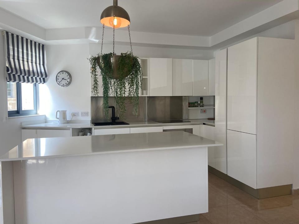 Kitchen or kitchenette, dishwasher, pet friendly, stove