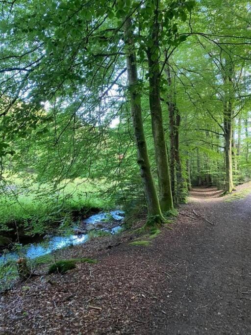 Day, Natural landscape, Hiking