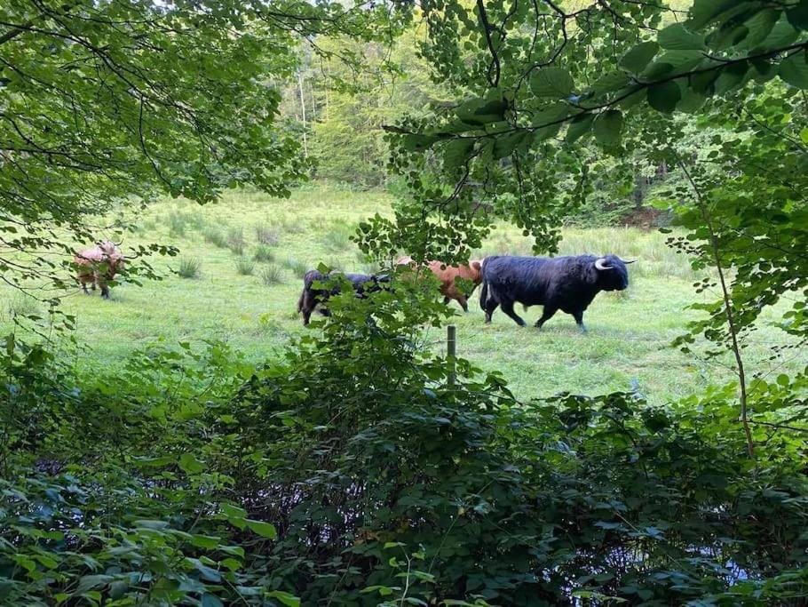 Day, Natural landscape, Hiking, Animals