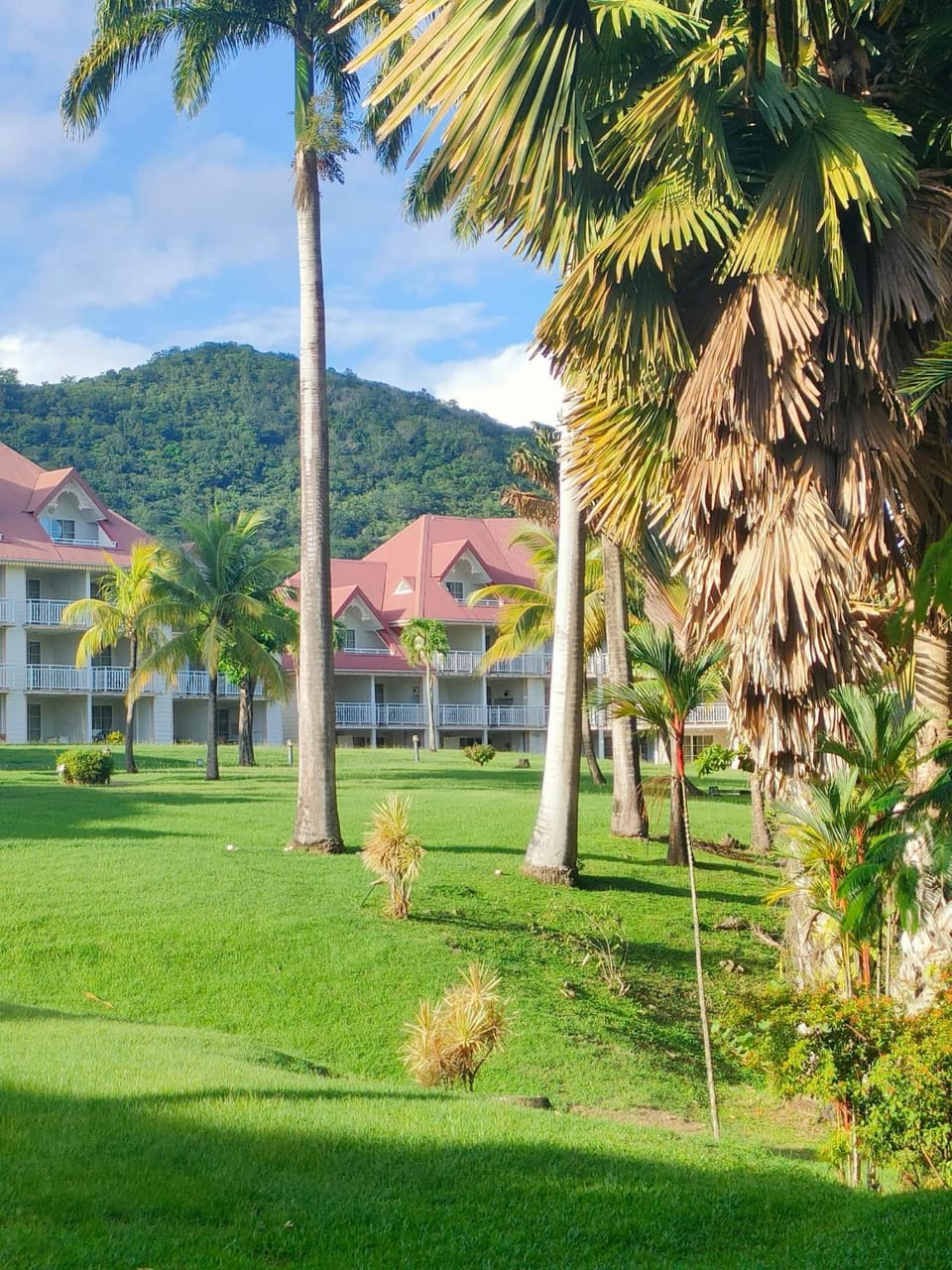 Garden view