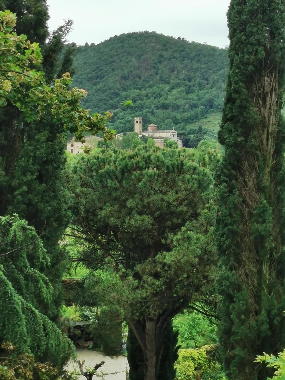 Il Bagolaro House in Veneto