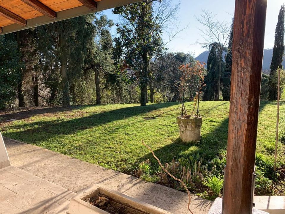 Natural landscape, Garden, Garden view
