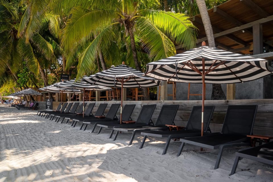 Beach, sunbed