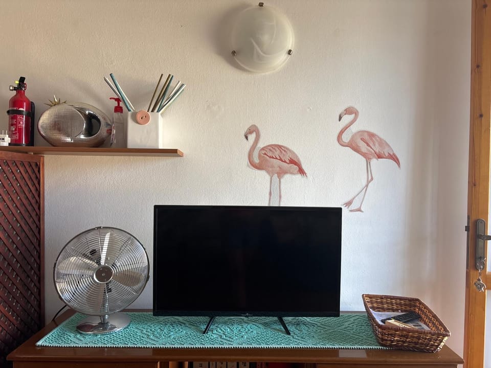 TV and multimedia