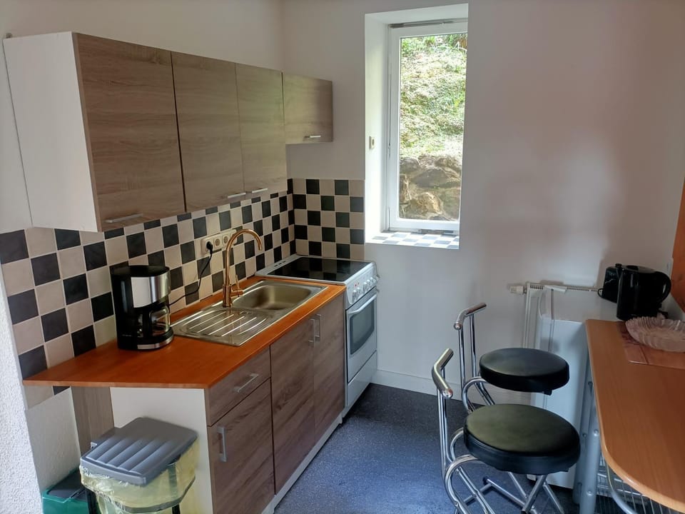 Kitchen or kitchenette, Dining area, pet friendly, stove