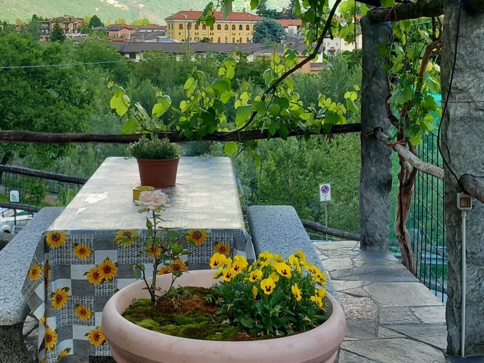 Patio, Garden, Balcony/Terrace