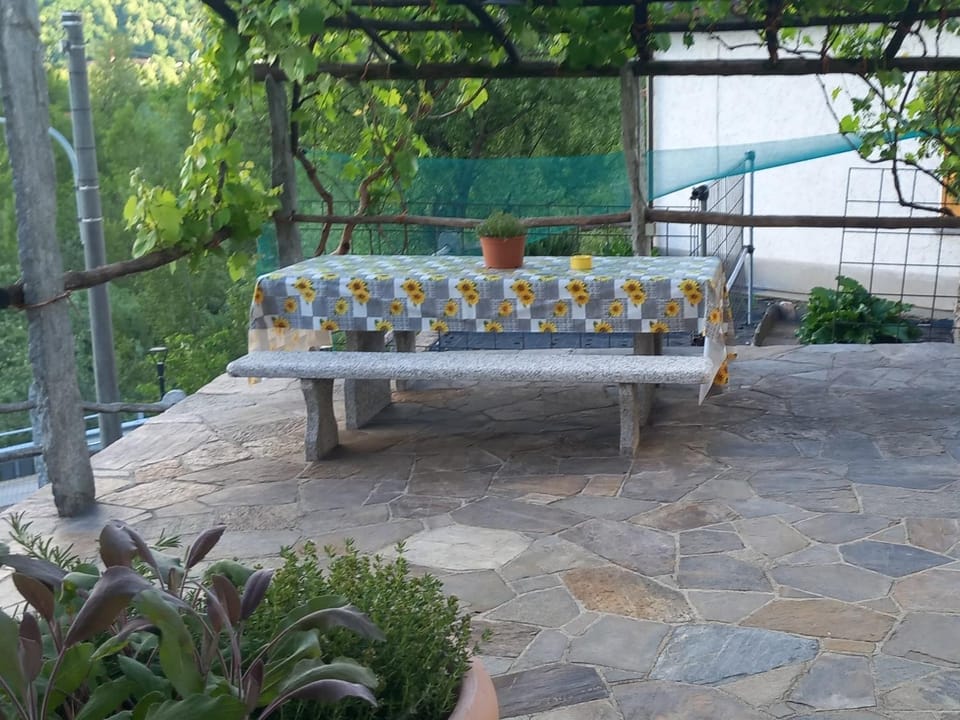 Patio, Spring, Day, Garden, Balcony/Terrace, Garden view