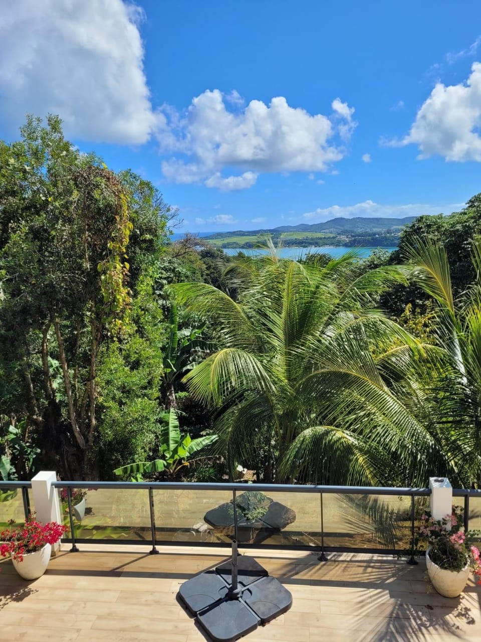 View (from property/room)
