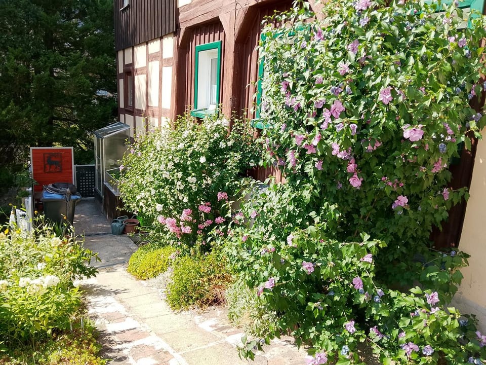 Ferienwohnung zum Sebnitzer Hirsch Apartment in Sächsische Schweiz-Osterzgebirge