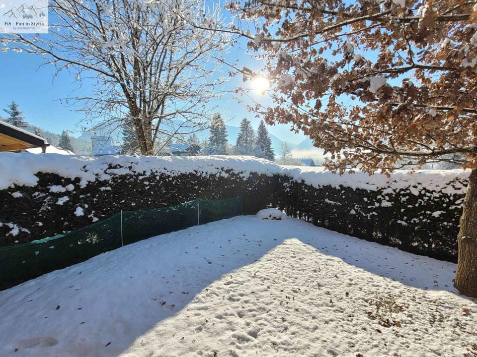 Nearby landmark, Winter, Garden