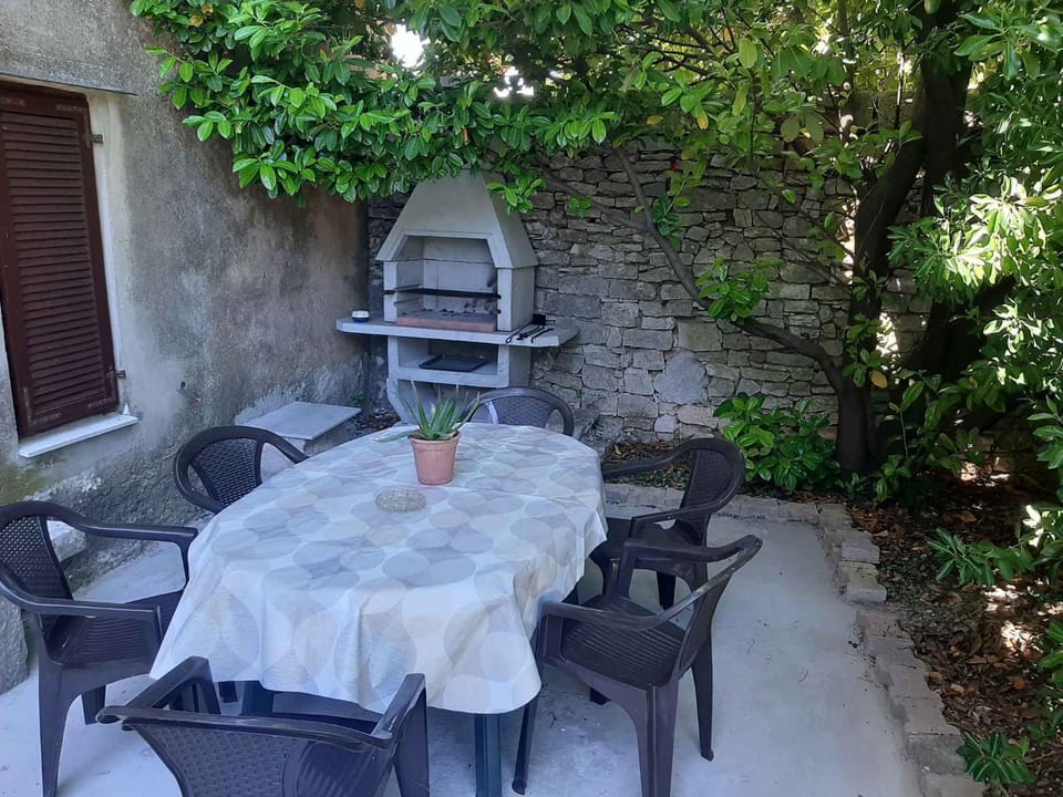 Summer, BBQ facilities, Garden