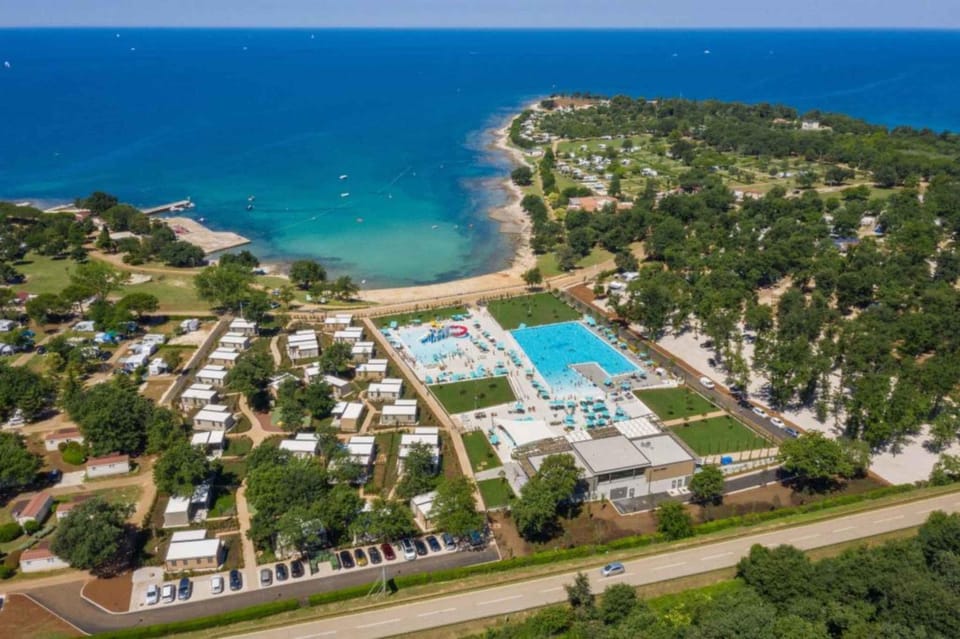 Bird's eye view, Summer