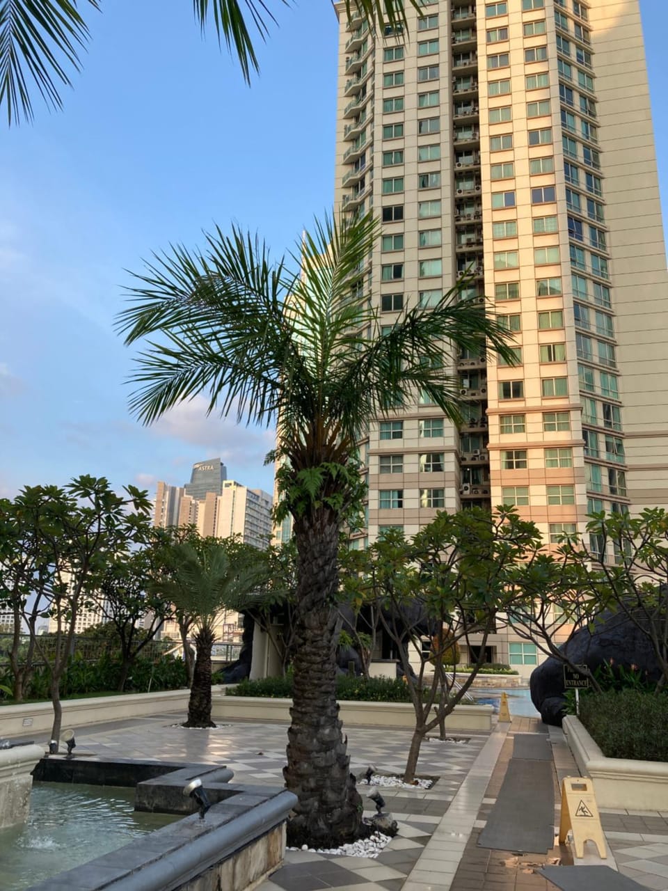 Garden view