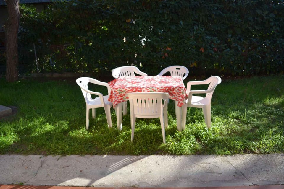 Summer, Garden