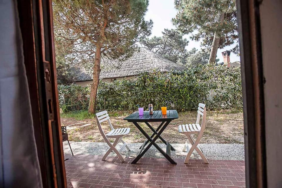 Summer, Garden, Balcony/Terrace