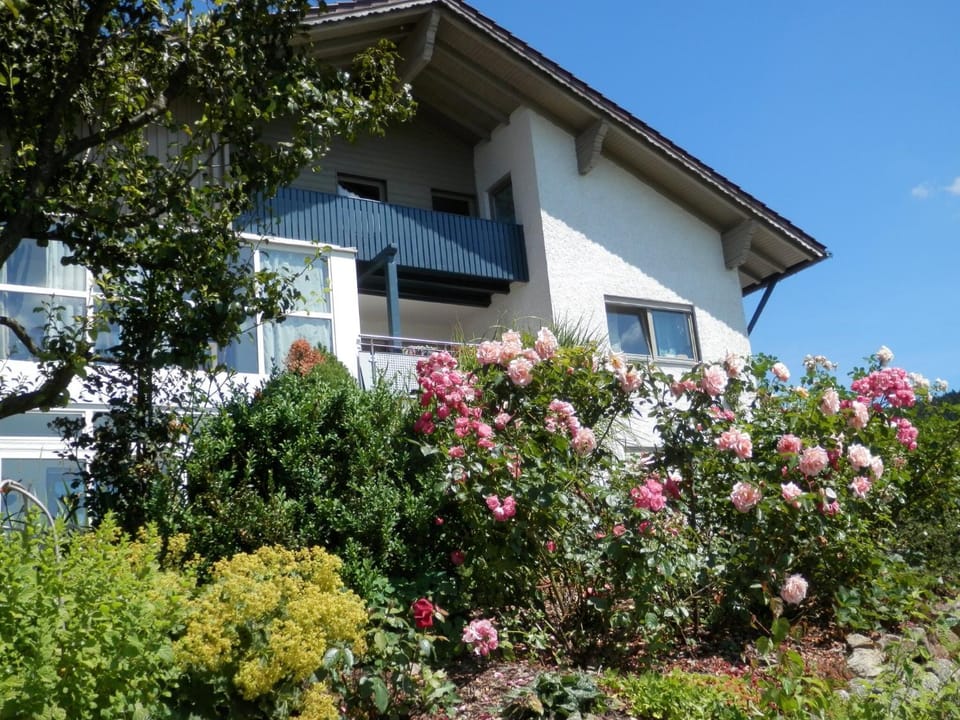 Property building, Spring, Day, Garden, Garden view