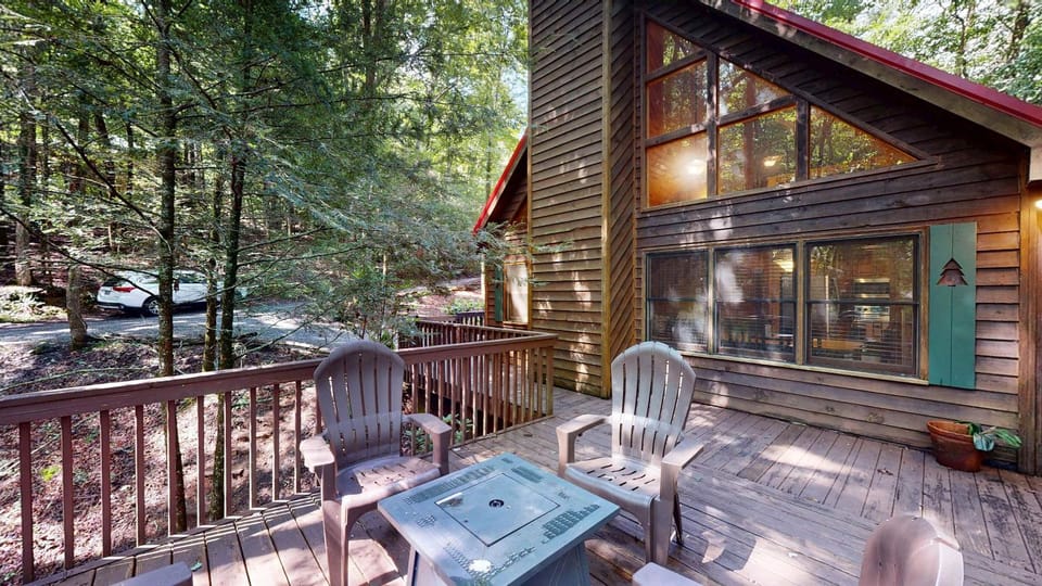 Bear in the Woods House in Georgia