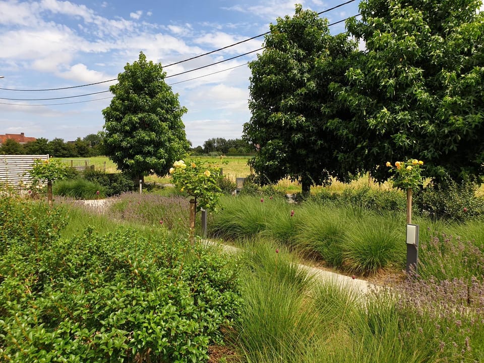 Garden view