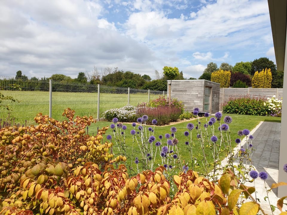 Garden view