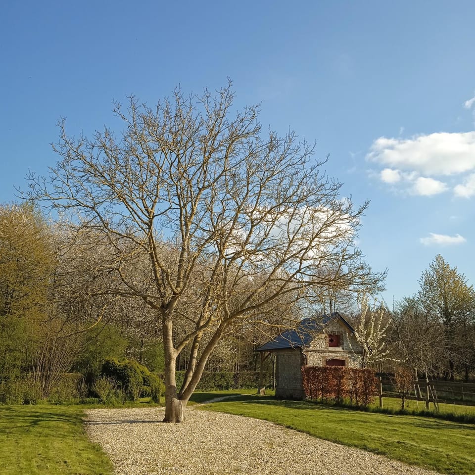 Natural landscape