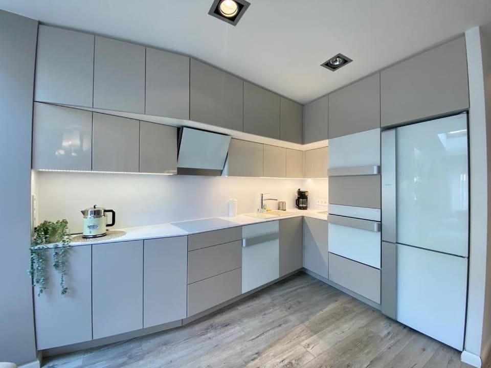 Kitchen or kitchenette, dishwasher, minibar, pet friendly, stove