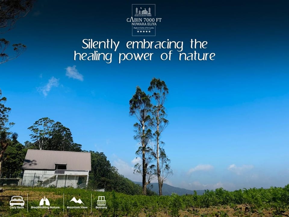 Property building, Natural landscape, Mountain view