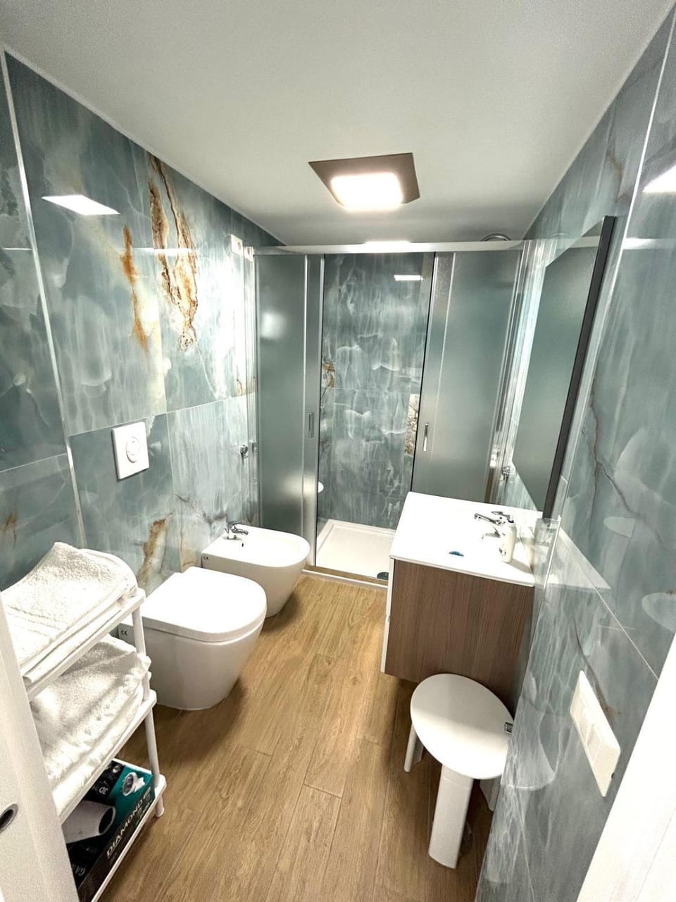 Shower, Toilet, Bathroom, bidet, towels