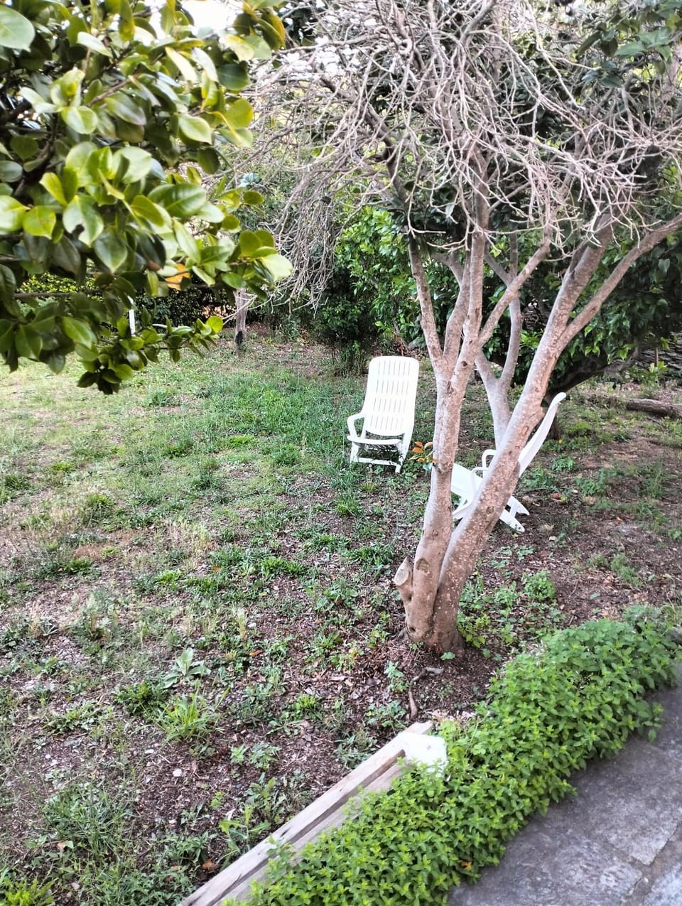 Maison individuelle padulella Villa in Corsica