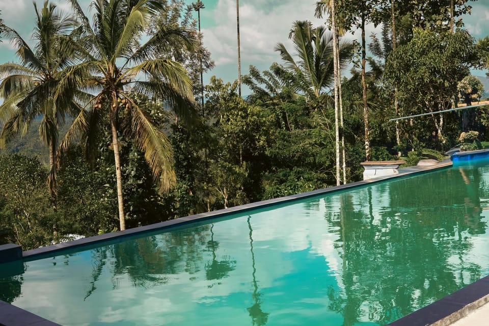 Day, Natural landscape, Pool view, Swimming pool