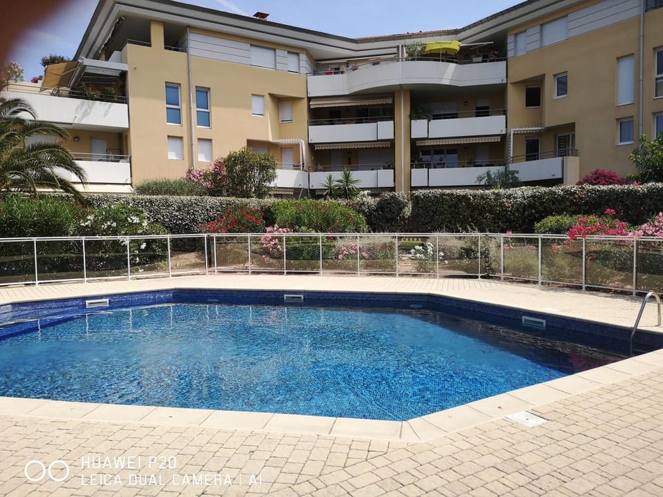 Day, Pool view, Swimming pool