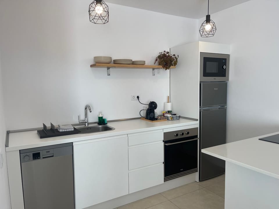 Kitchen or kitchenette, dishwasher, minibar, pet friendly, stove
