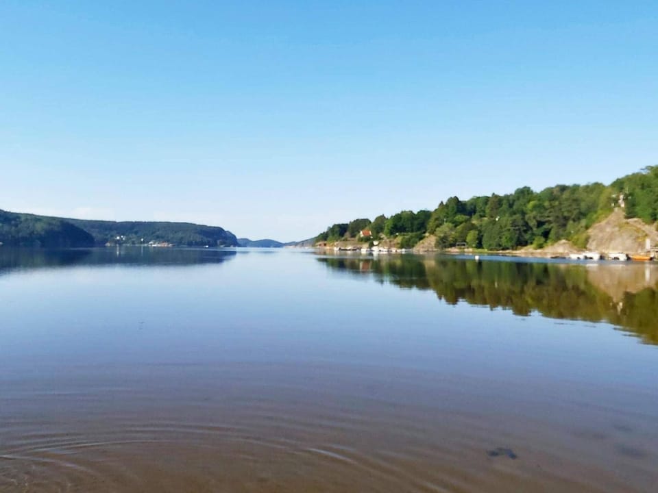 Lake view