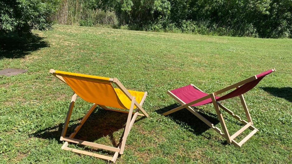 Spring, Garden, Garden view