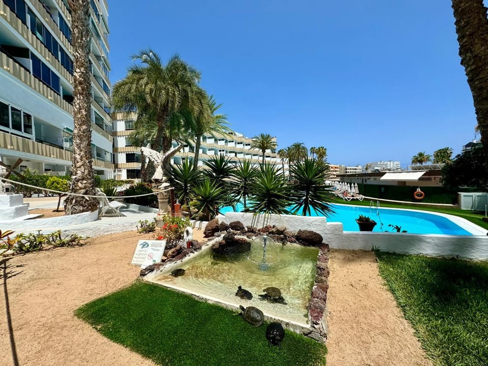 Day, Garden, Garden view, Pool view