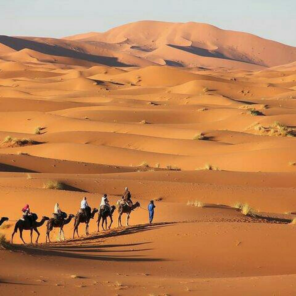 People, Natural landscape, Animals, group of guests