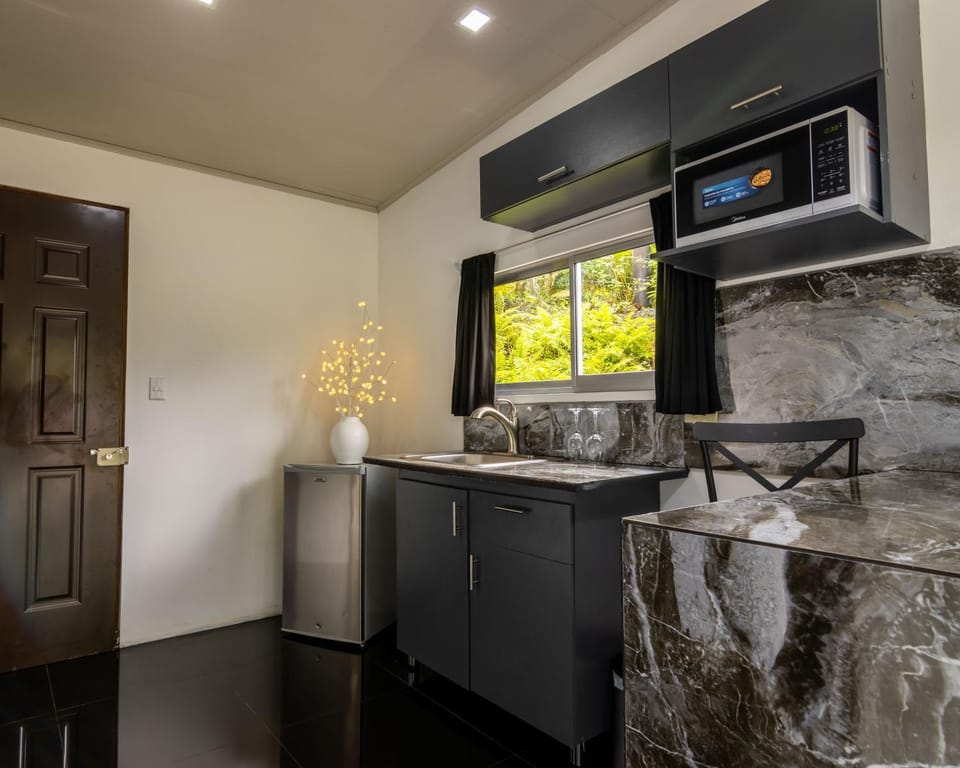 Kitchen or kitchenette, minibar