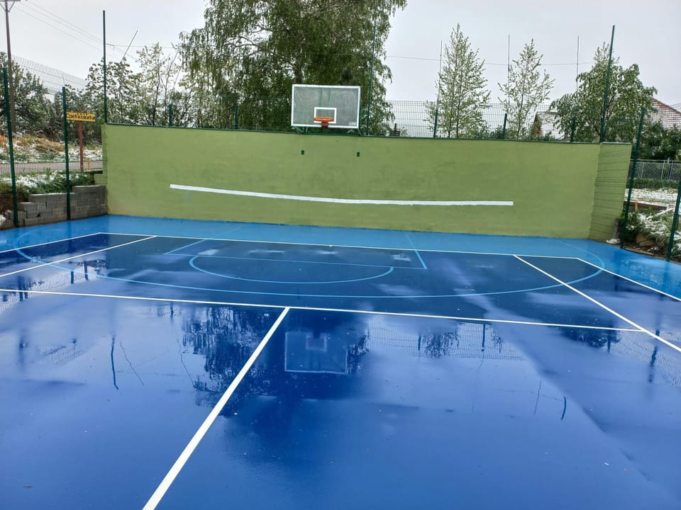 Kuća u selu sa bilijar salom za aktivan odmor House in Serbia