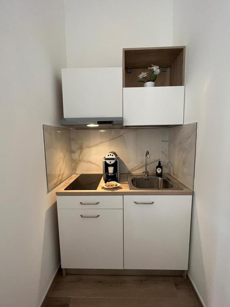 Coffee/tea facilities, Kitchen or kitchenette, Photo of the whole room, Lunch, Lunch, stove, stove