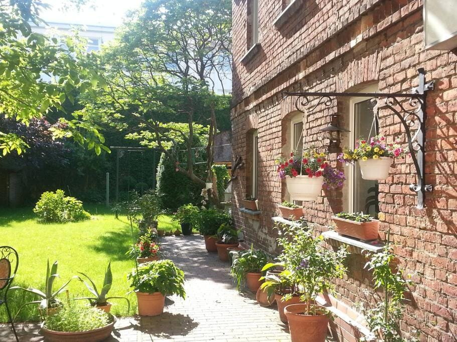 Property building, Garden, Garden view