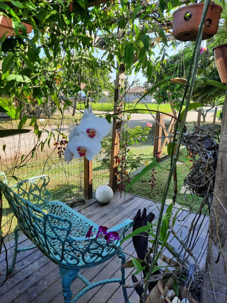 Patio, Garden, Garden view