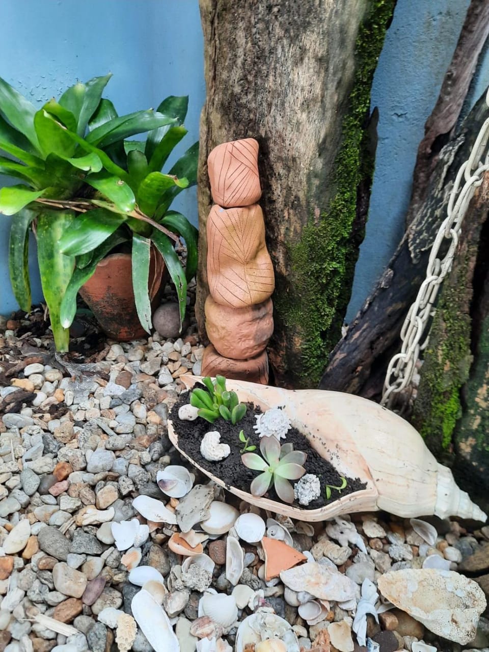Garden view