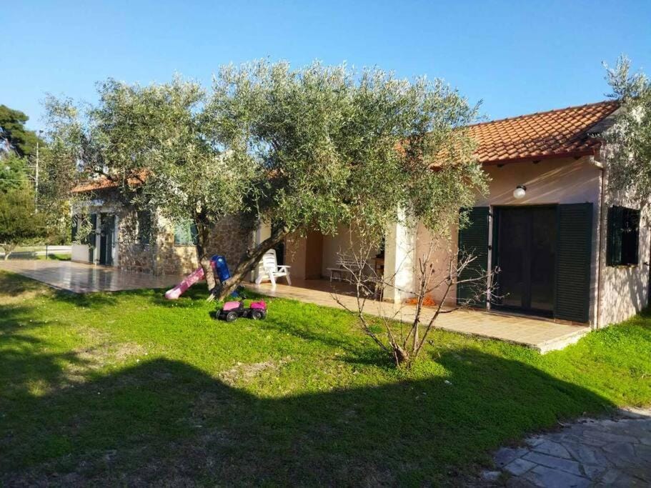 Property building, Natural landscape, Garden, Garden view