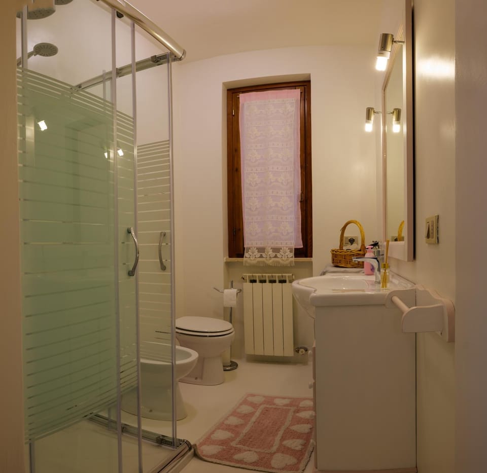 Shower, Toilet, Bathroom, bidet