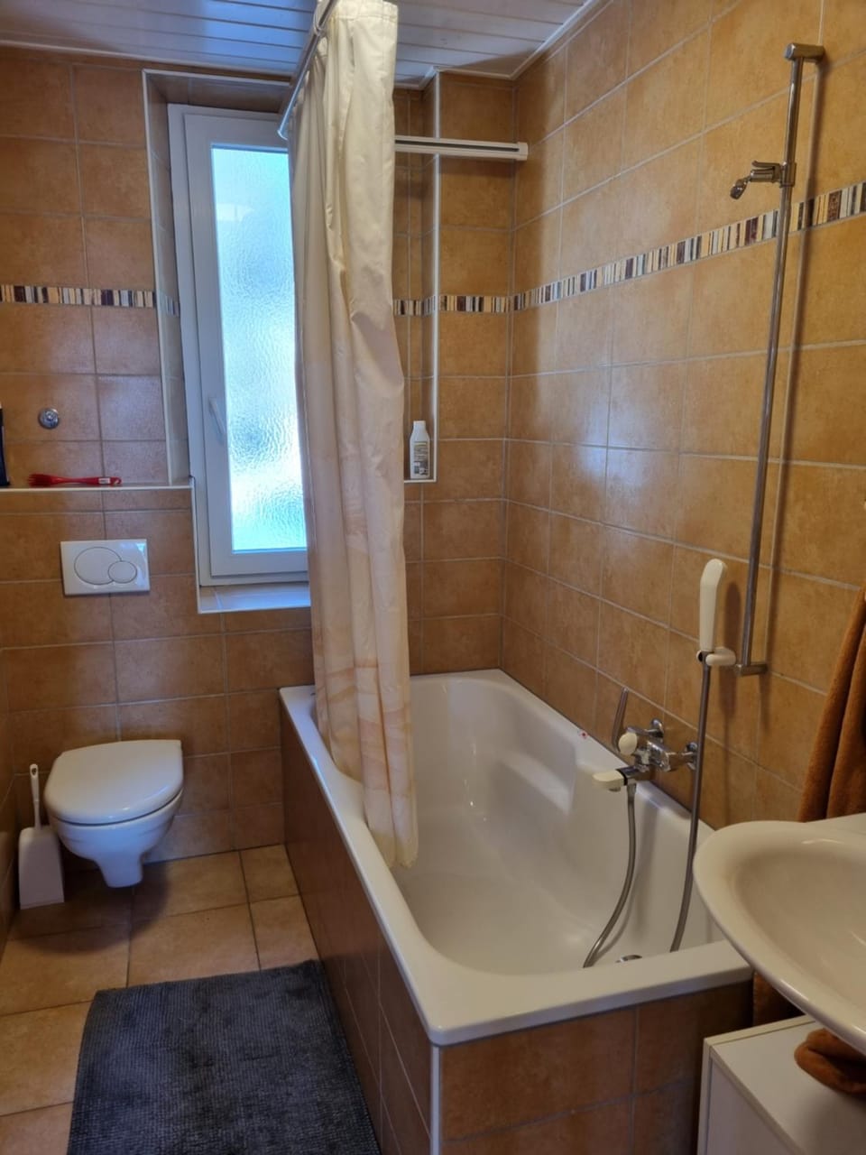 Shower, Toilet, Bathroom, Bath