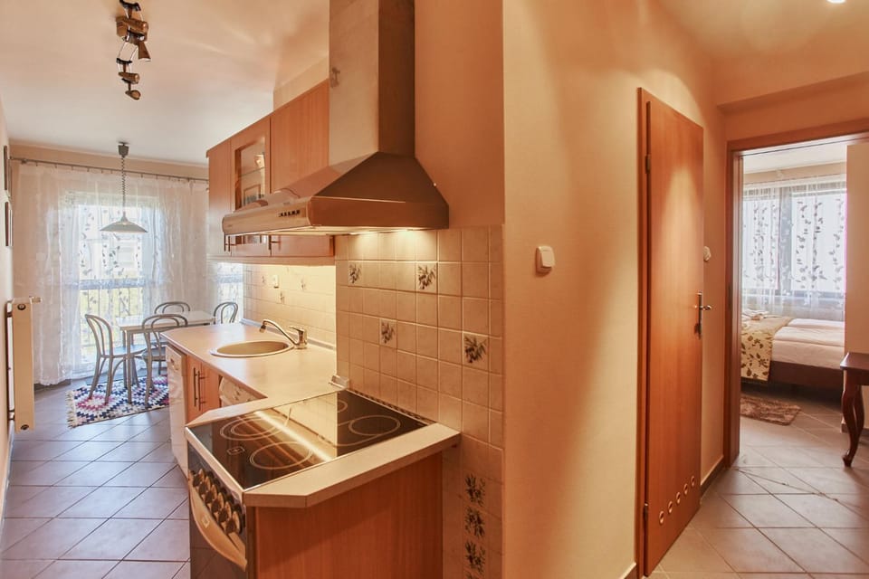 Kitchen or kitchenette, Photo of the whole room, stove