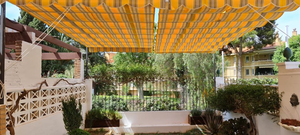 Patio, Spring, Garden, Garden view