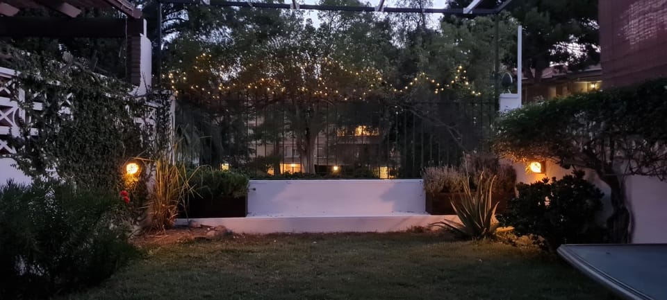 Night, Garden, Garden view